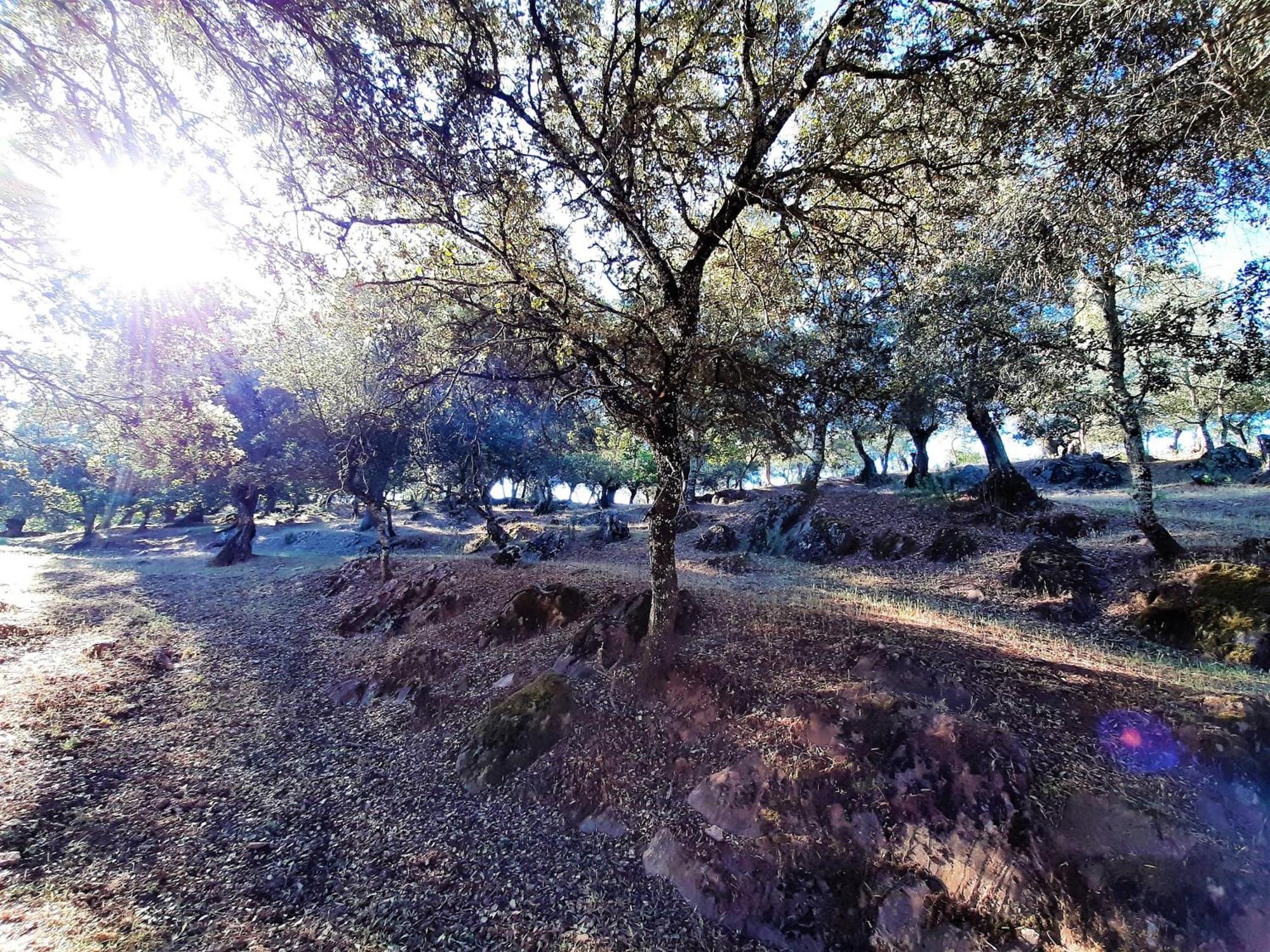 ארקנה Casa Rural Gurumelo מראה חיצוני תמונה