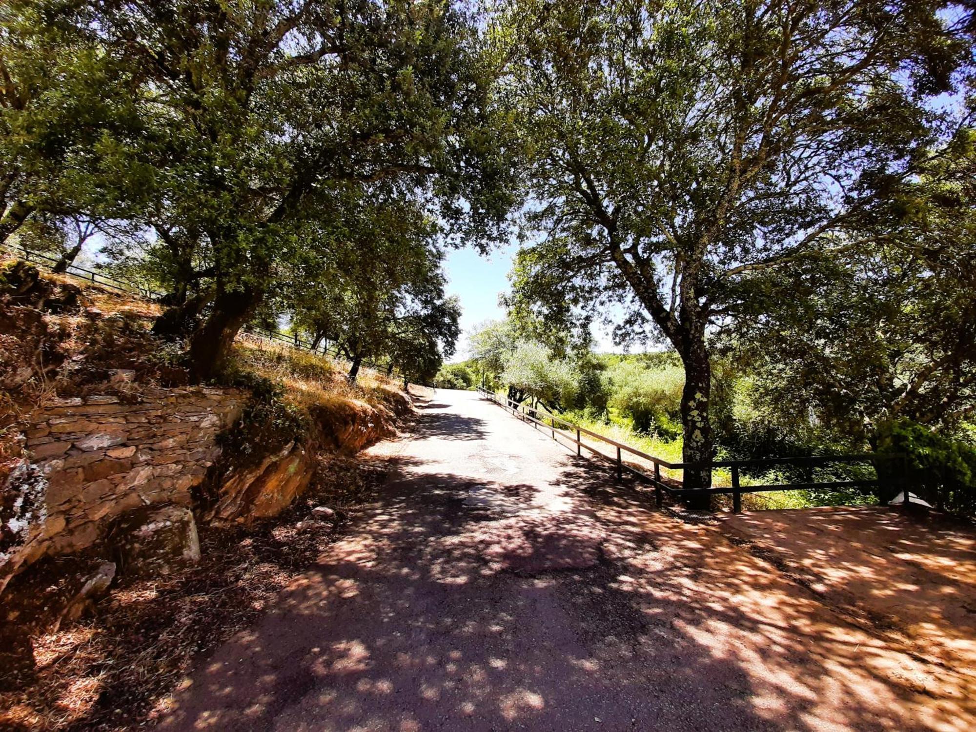 ארקנה Casa Rural Gurumelo מראה חיצוני תמונה